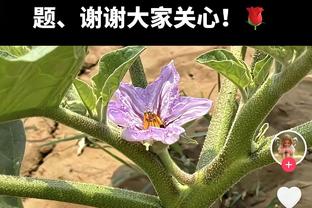 高效！奥斯曼11中6得15分2板6助 第三节关键三分扑灭湖人反攻潮